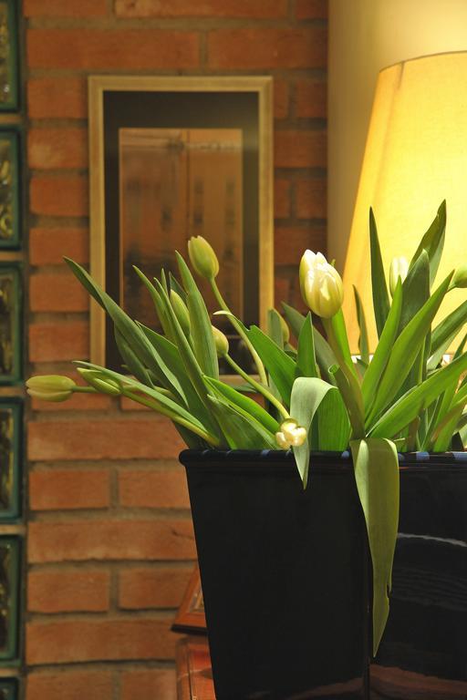 Hotel Parco Castelvetro Piacentino Екстер'єр фото